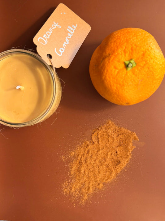 Ecologia L'Atelier Vela